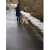 dogsarefamily