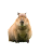 paulileoq