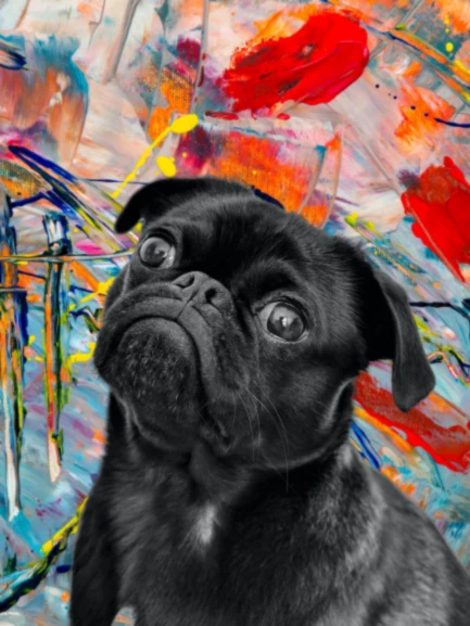 Bannière de Aux plaisir des yeux