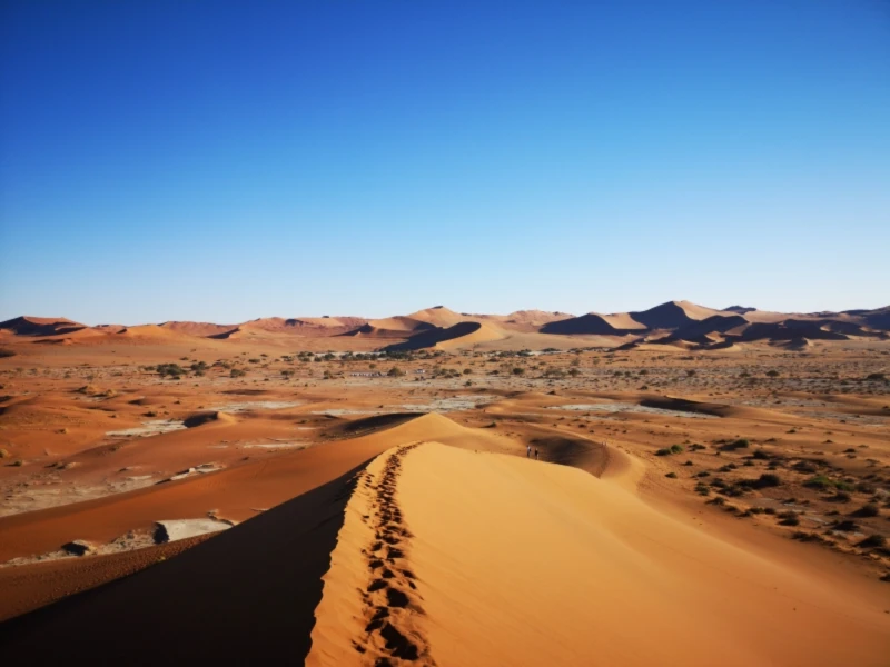 Bannerbild von Beerlv