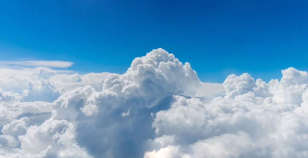 Banner image of Dina72