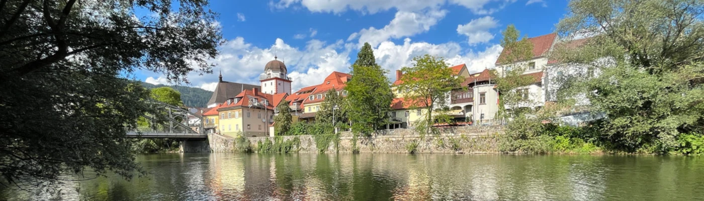 Banner image of We Love Leoben