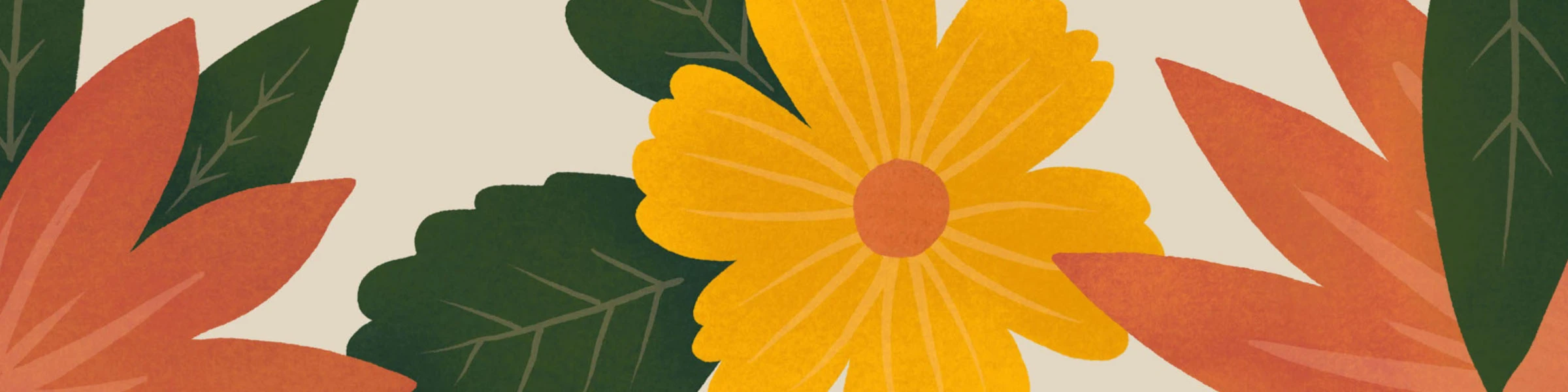 Bannerbild von Kakvajo