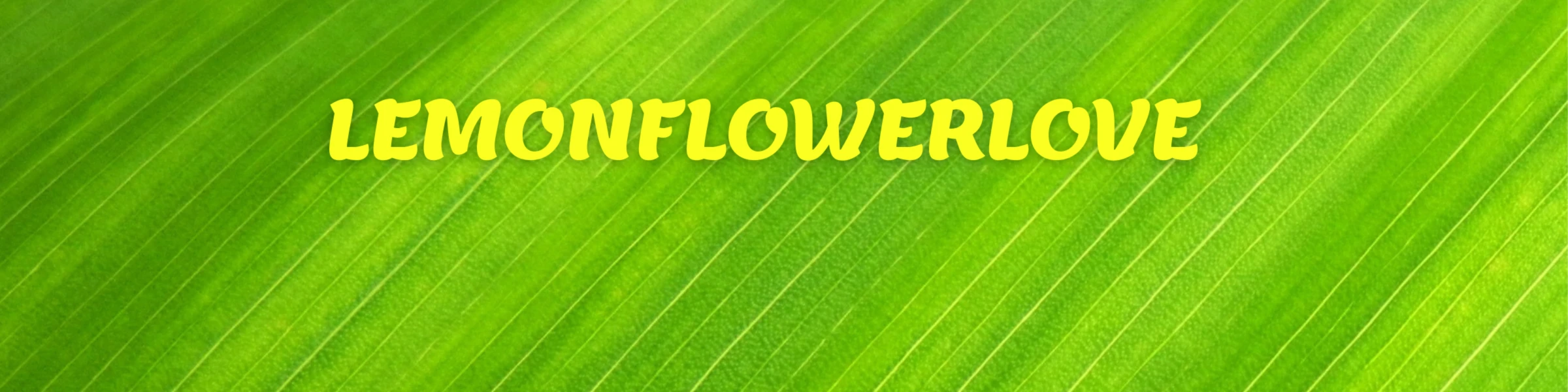Banner image of Lemonflowerlove