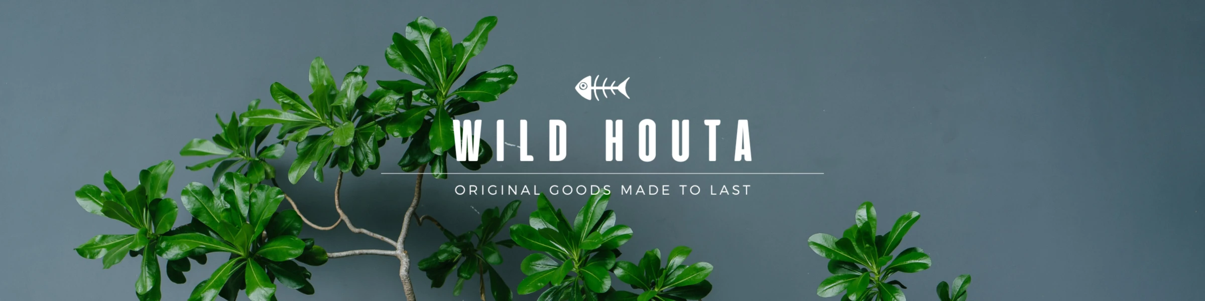 Bannerbild von Wild Houta