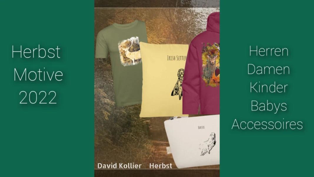 Bannerbild von David Kollier