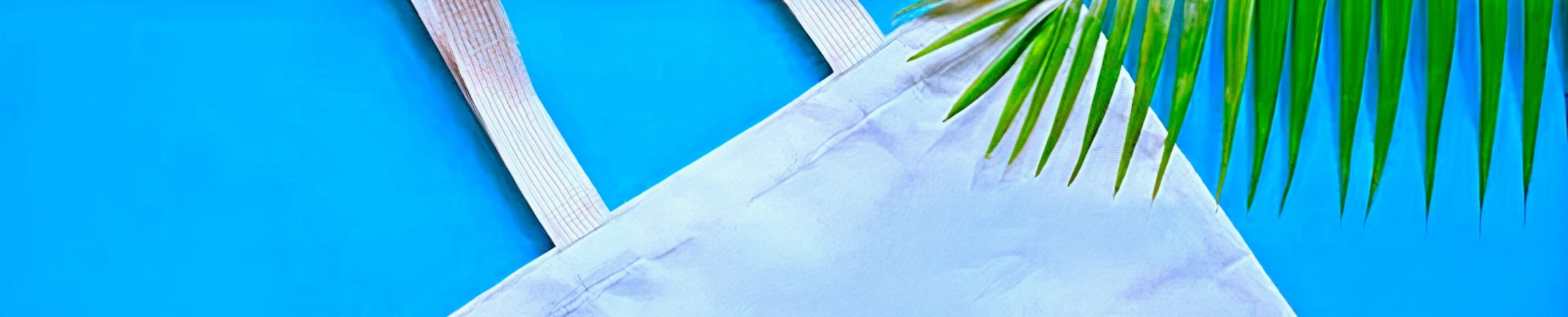 Banner image of AI-Bags