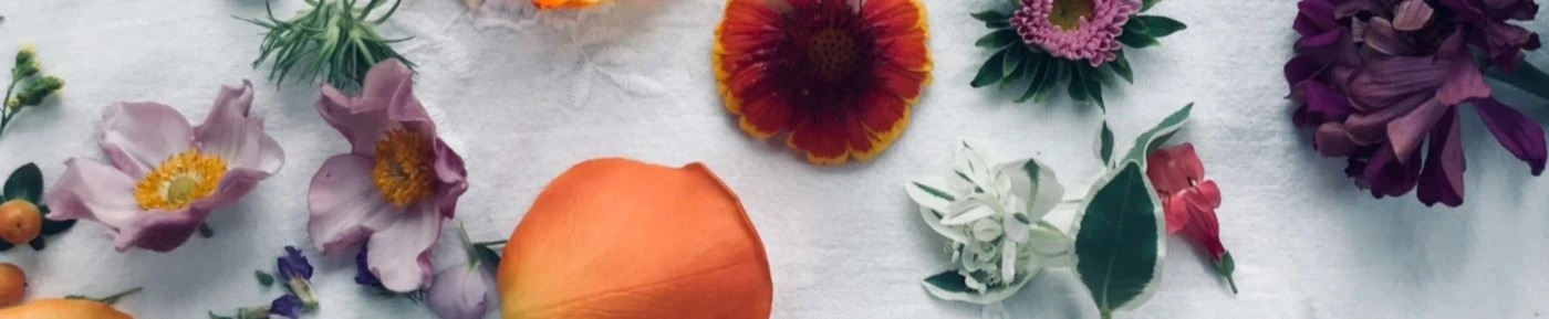 Banner image of DeepDreamVision