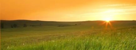 Banner image of Tymo Lorges