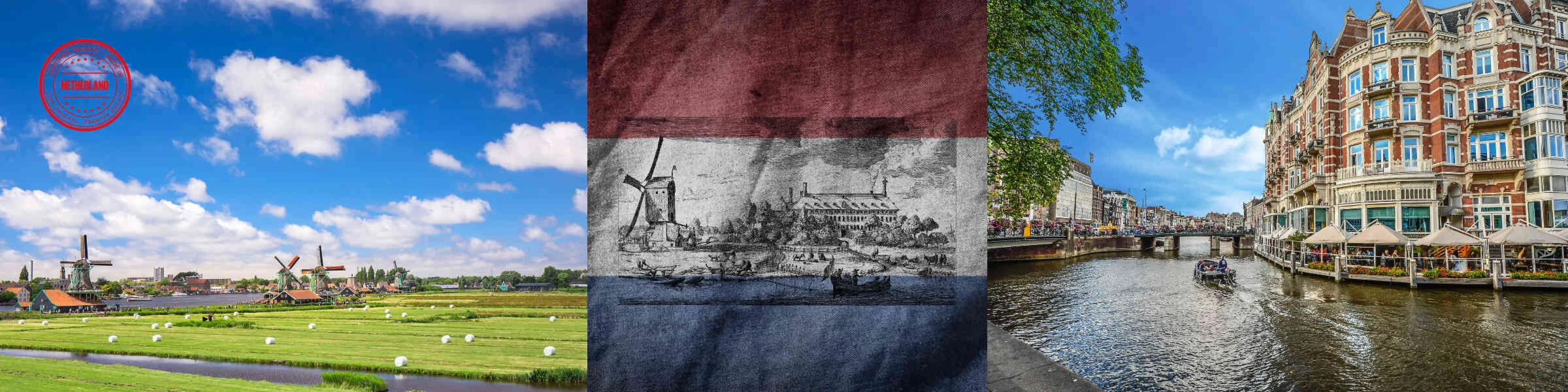 Banner image of supertjarda