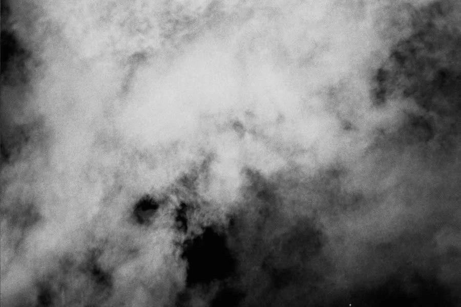 Bannerbild von wert los