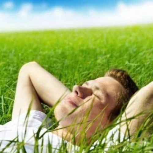 Bannerbild von FISSAW