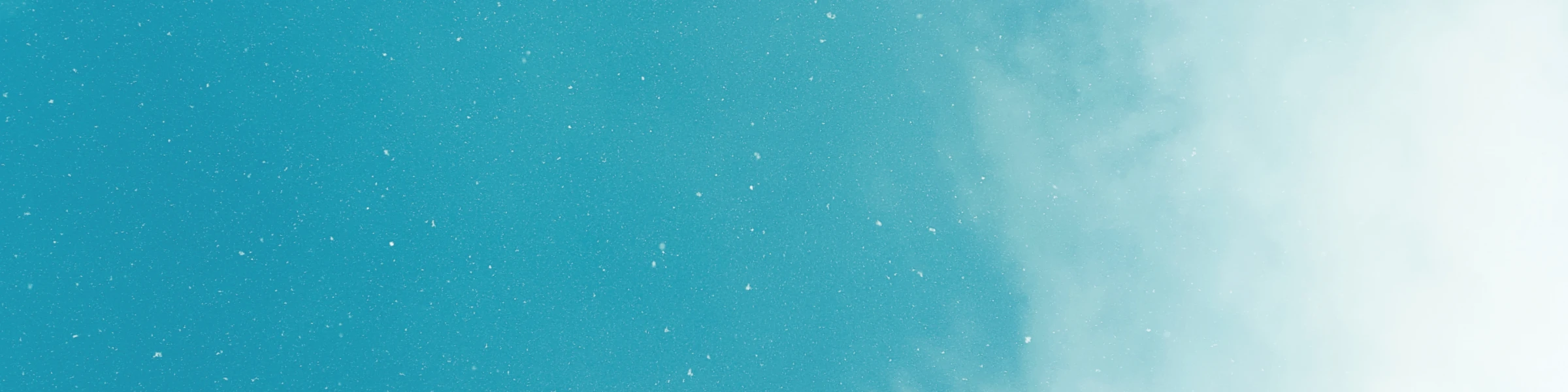 Bannerbild von Blue Viking