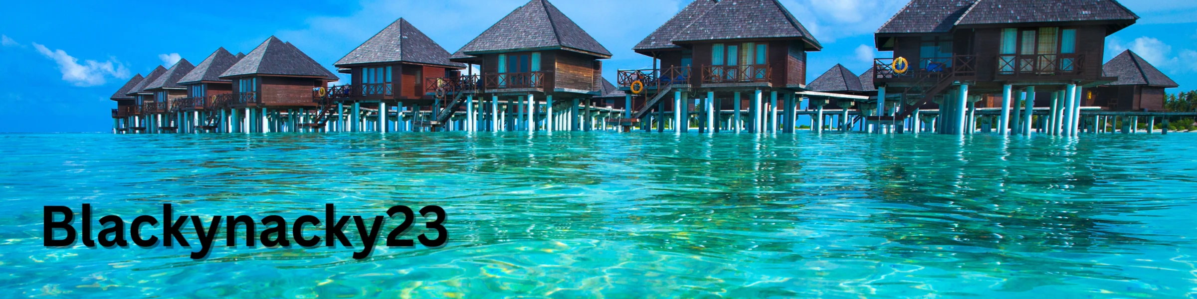 Bannerbild von Blackynacky23