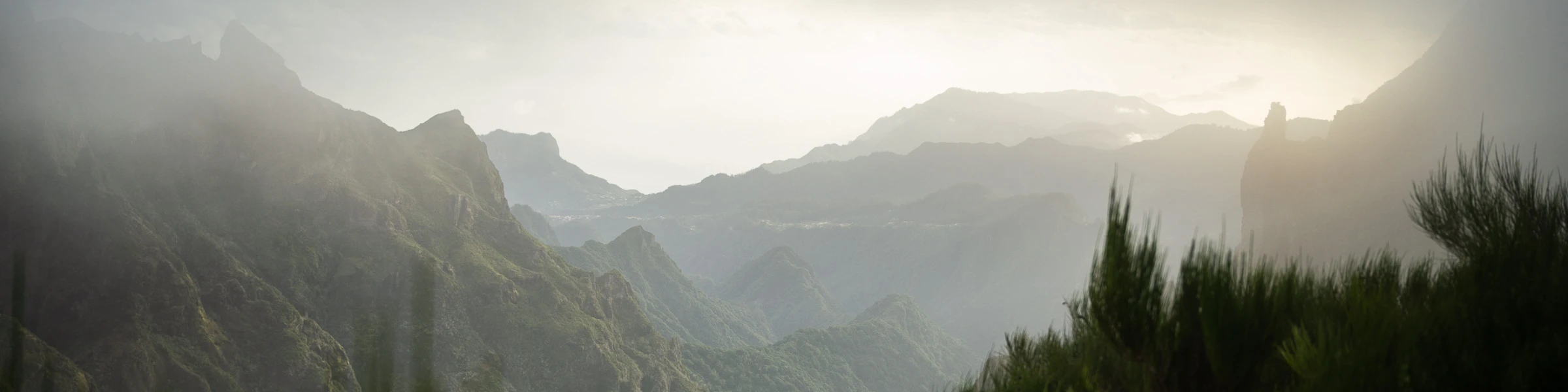 Banner image of MichaelMuecke