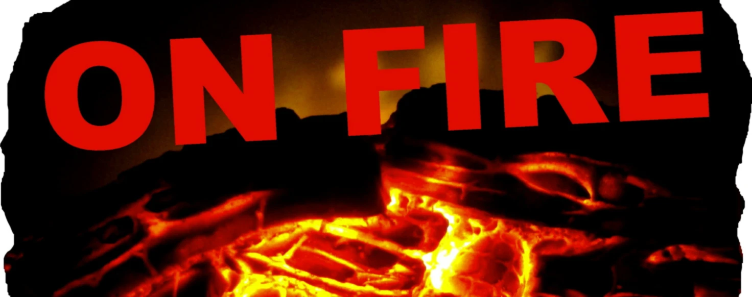 Bannerbild von ZoffArt