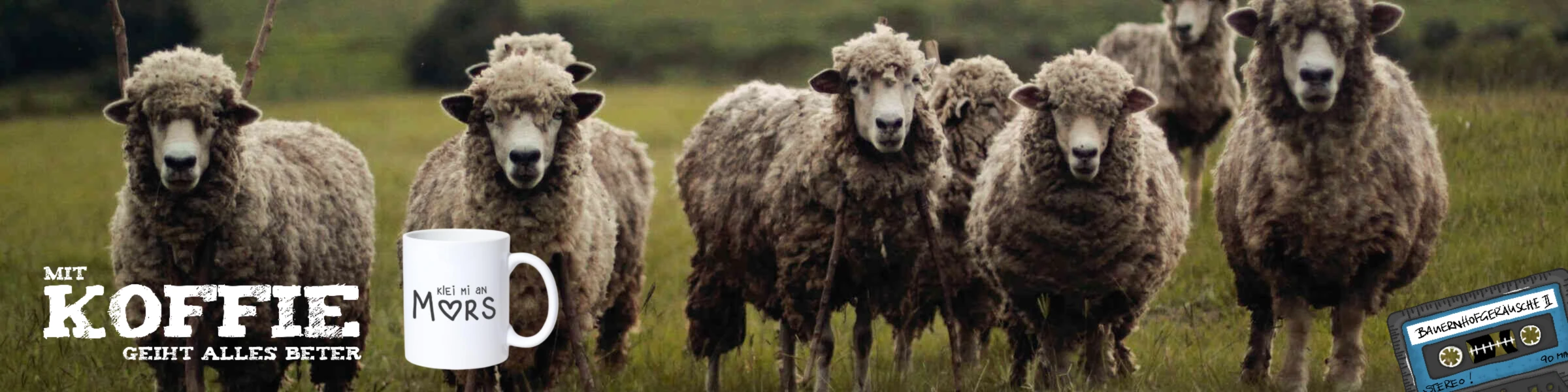 Banner image of Chaosdeern