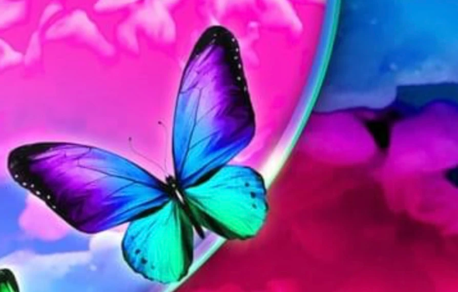 Bannière de ANLUBA51