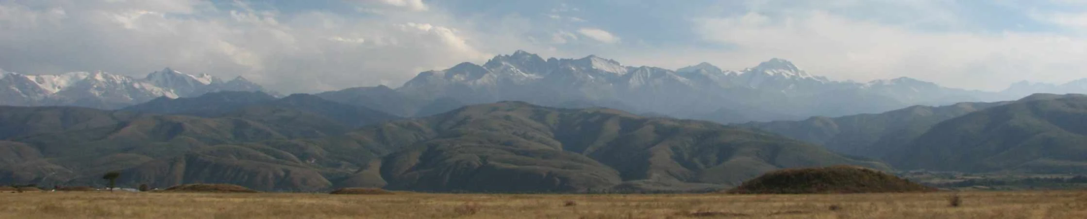 Banner image of Nomad Design Company