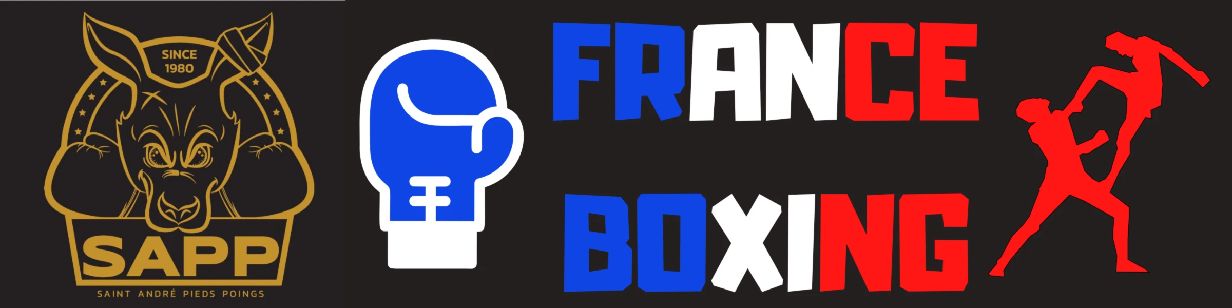 Bannière de SAPPBOXINGCLUB