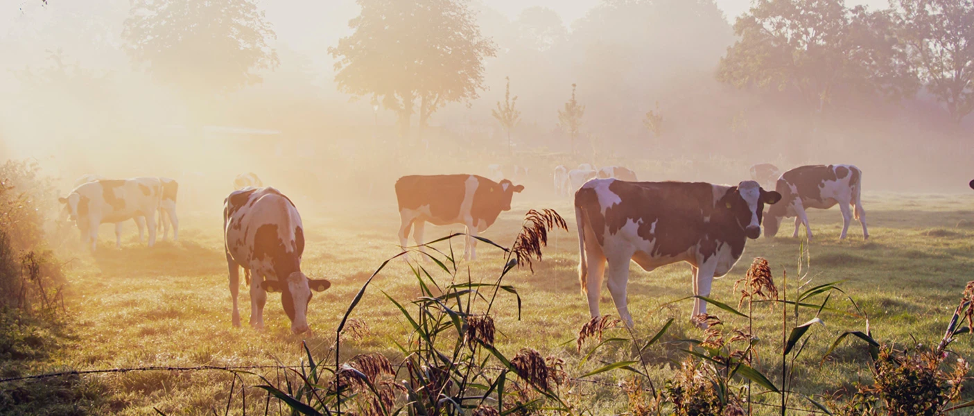 Banner image of NRfarm