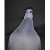 derDett