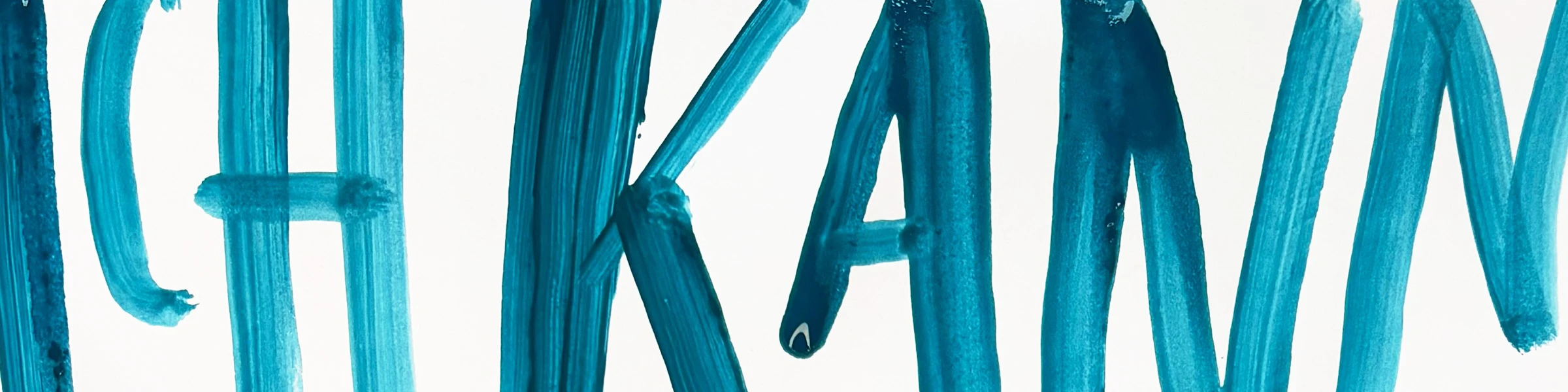 Bannerbild von Pamphorie