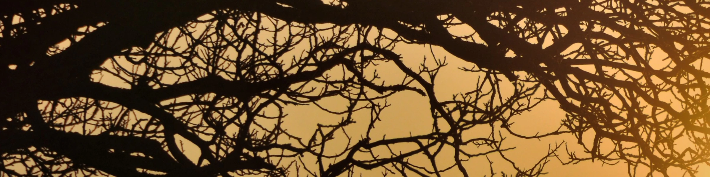 Bannière de Boutique Nature