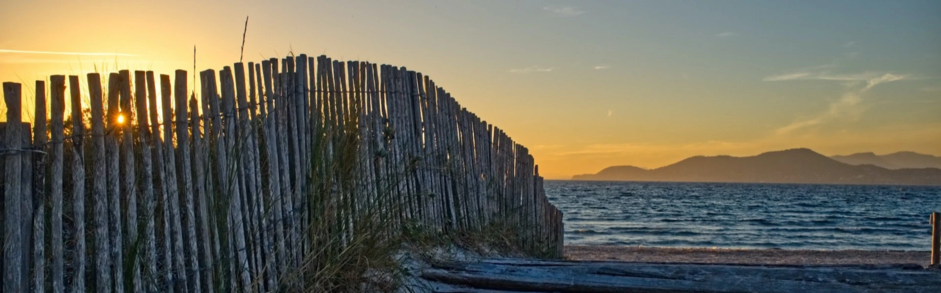 Banner image of Lnl.telomartius