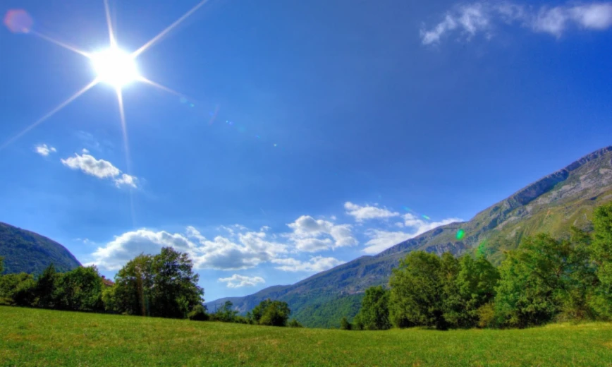 Banner image of Bliss.com