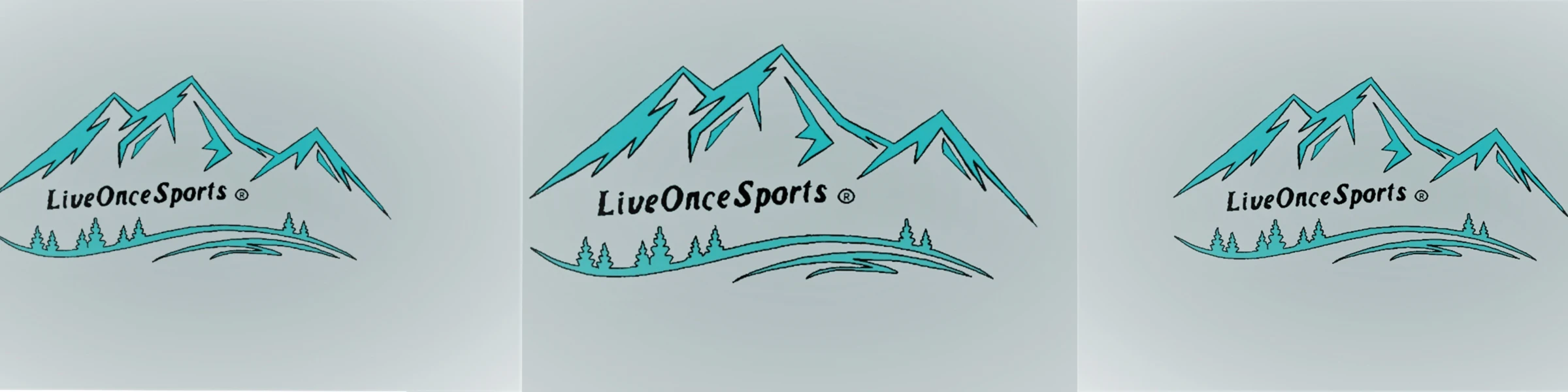 Banner image of LiveOnceSports