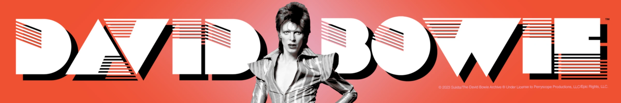 Banner image of David Bowie