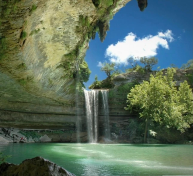 Banner image of The don of designs