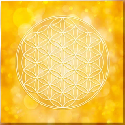 Banner image of Farbliebe