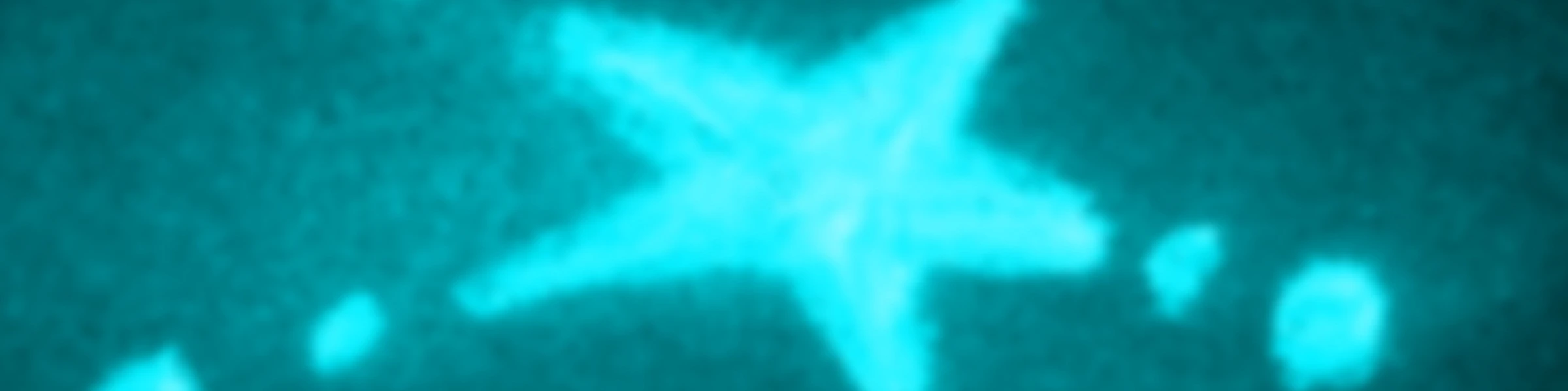 Bannerbild von JAPH GEORGE