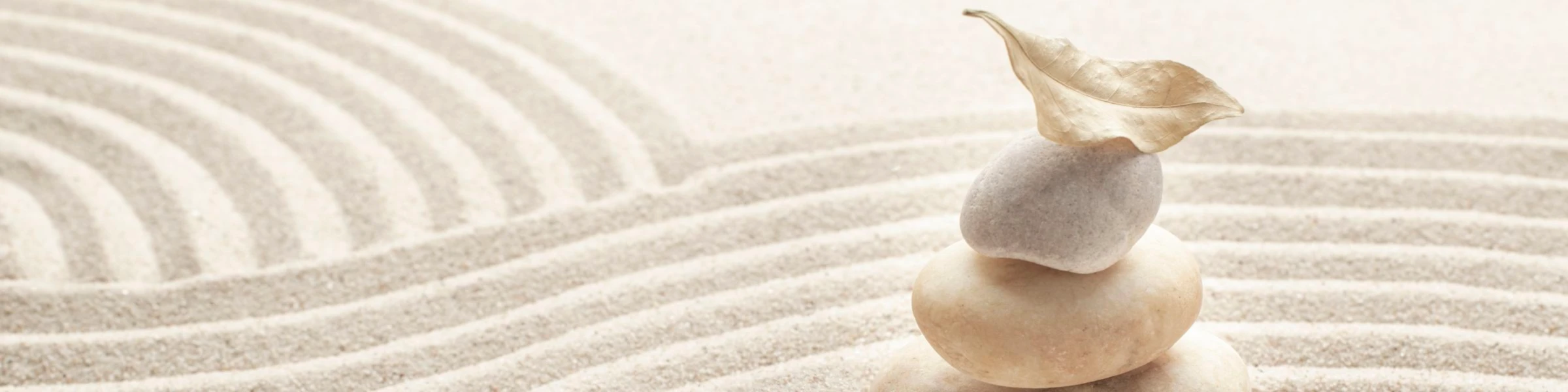 Bannière de Zen and Cool