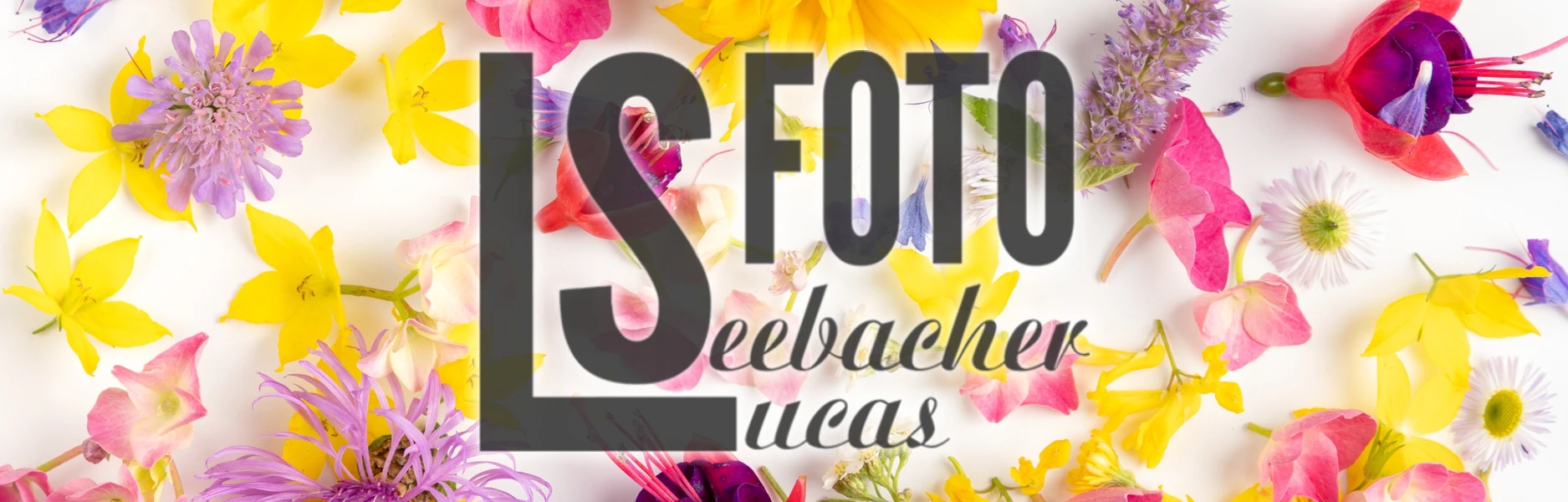 Bannerbild von Lucas Seebacher