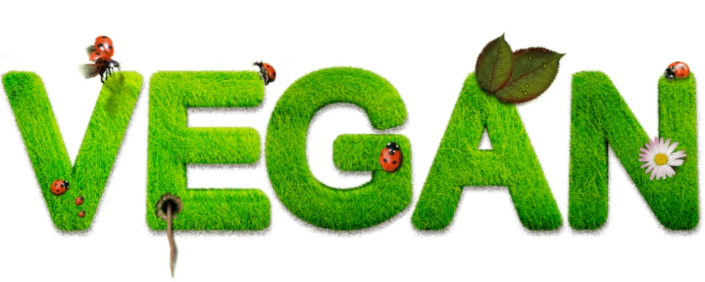 Banner image of EzFuturee