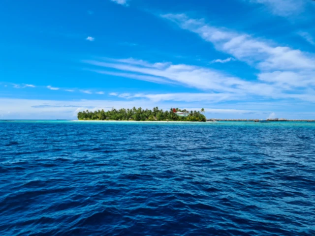 Bannerbild von Kyanera