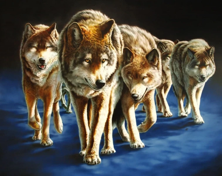 Bannerbild von ars.menuschia