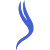 Bird - Style