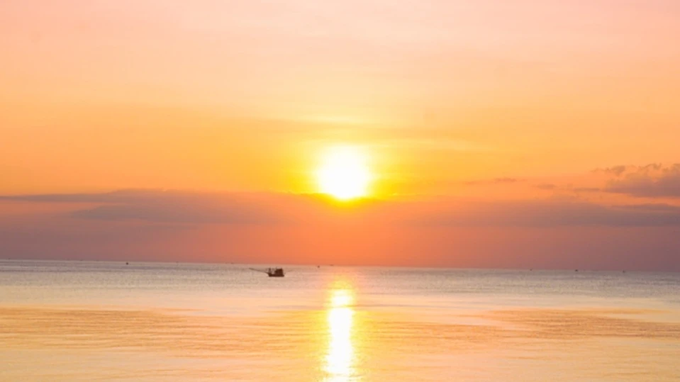 Bannerbild von Poster livin