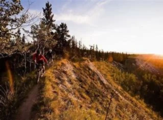 Banner image of Willi on MTB