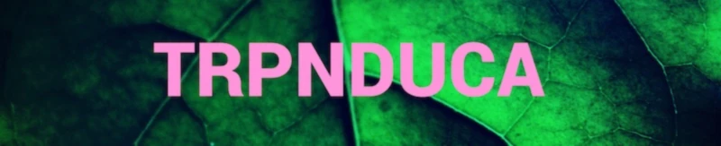 Bannerbild von TRPNDUCA