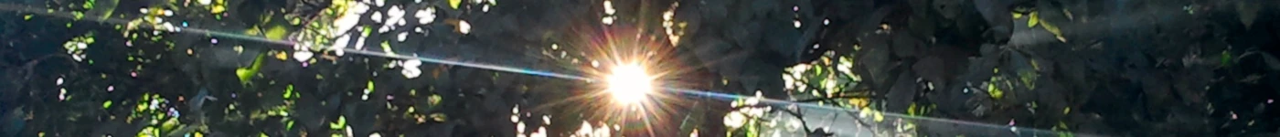 Bannière de Le jardin de Pierre