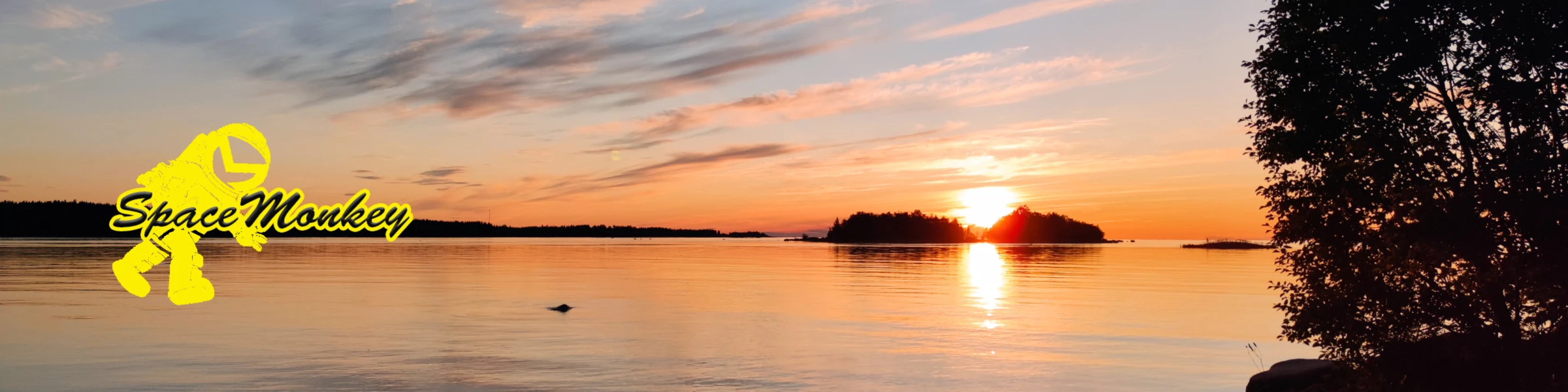 Bannerbild von Spacemonkey
