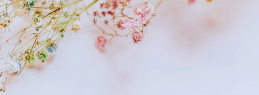 Bannerbild von HAPPY MIND HAPPY LIVE