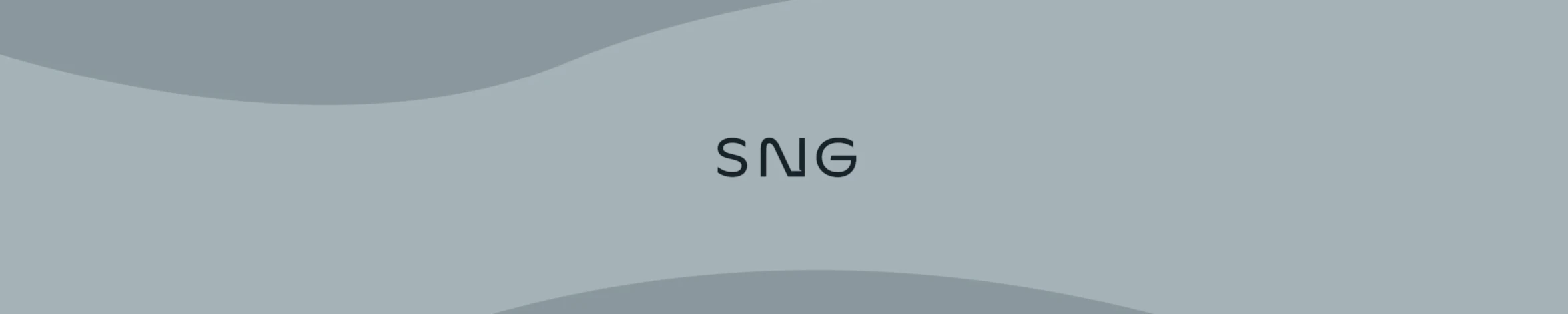Banner image of Studio Nicolas Gafner