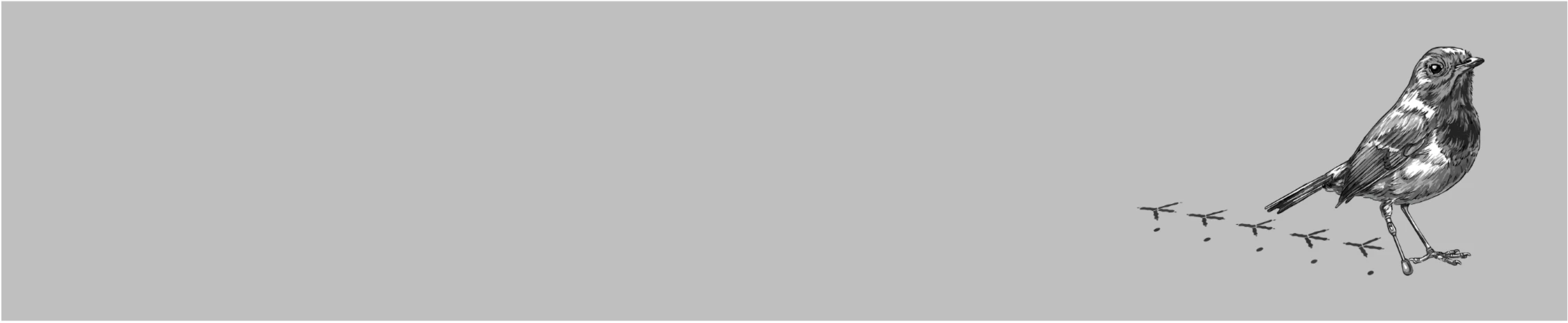 Bannerbild von Vogel-OT