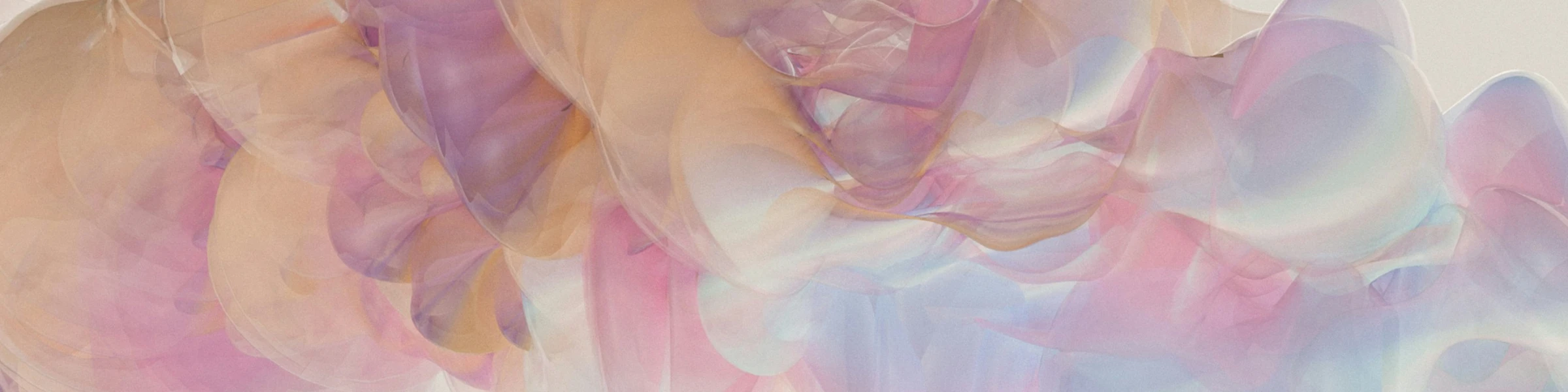 Bannière de La Maison de Leonnie